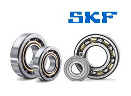 SKF Bearing