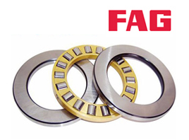 FAG Bearing