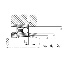 Bearing 1317-K-M-C3 + H317