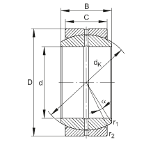 Bearing GE120-DO