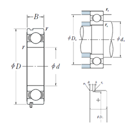 Bearing 60/22N