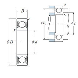 Bearing 60/22VV