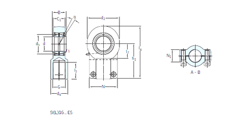 Bearing SILQG 100 ES