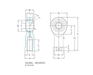 Bearing SILKAC6M